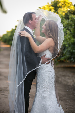 Beautiful wedding at Wiens Family Cellars Temecula Winery - Sarah & Shawn