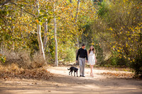 Southern California Engagement with nature in fall Photos in Fallbrook, San Diego by Temecula Winery Wedding Photographer, Sarah & Shawn