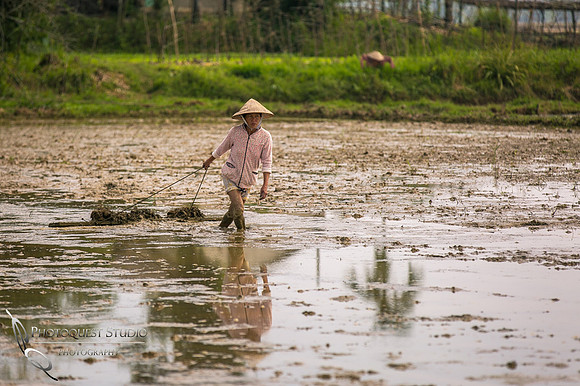 Hoi An, Hue - Vietnam photos-27