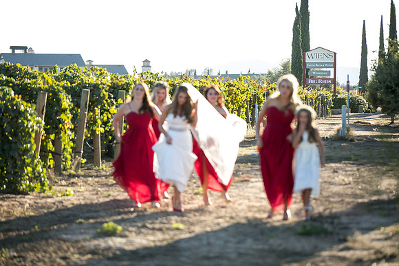 Beautiful wedding at Wiens Family Cellars Temecula Winery - Sarah & Shawn