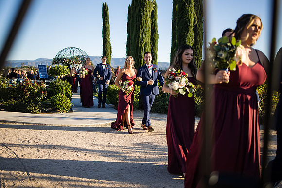 Temecula Wedding Photographer at Avensole Winery, Haley & Tristian-467