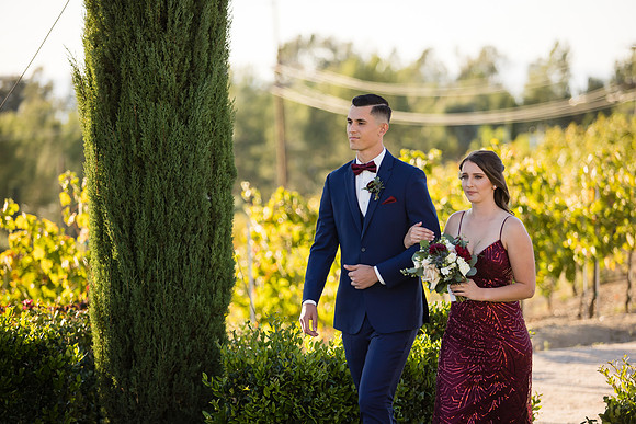 Temecula Wedding Photographer at Avensole Winery, Haley & Tristian-374