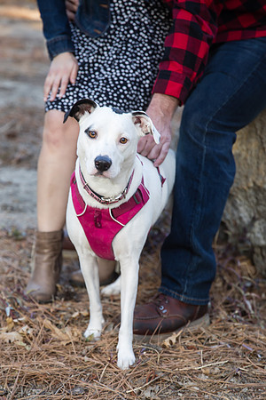 Engagement Photo at Lake Fulmor, Idyllwild by Temecula Wedding Photographer - Patricia & Sean (23)
