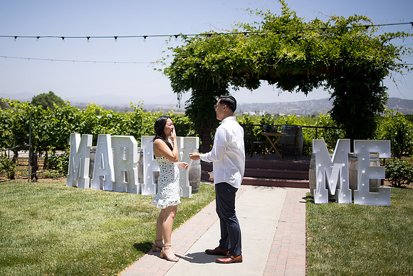 nina les orange county wedding photographer lorimar temecula winery surprise proposal-45
