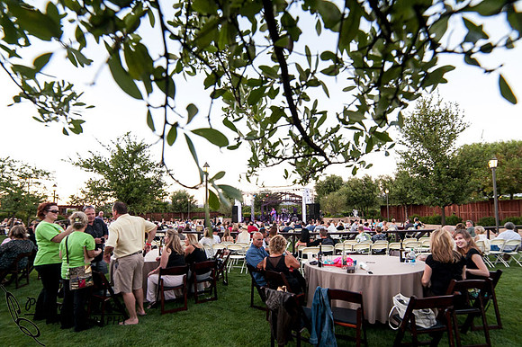 Temecula Wedding Photographer, Concert Photographer at Wiens Family Cellars Winery, The English Beat