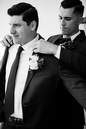 Temecula Wedding Photographer at Avensole Winery, Haley & Tristian-66