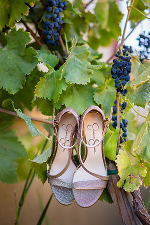 Wedding Photo at Wiens Family Cellars by Photoquest Studio, Temecula Wedding Photographer - Samantha & Joe-8