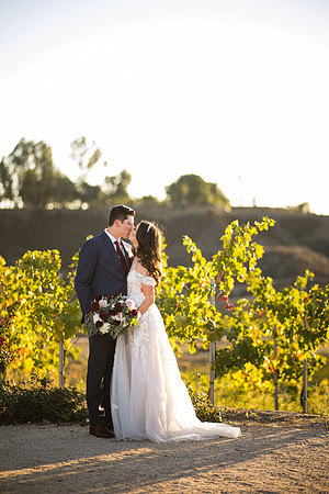 Temecula Wedding Photographer at Avensole Winery, Haley & Tristian-485