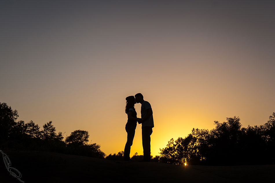 Temecula Wedding Photographer captured romantic outdoor Engagement photos with dog by Natural Light in Fallbrook, San Diego