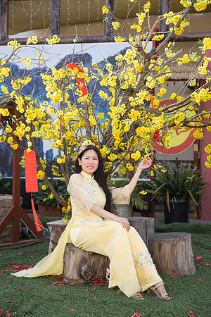 mother and daughter lunar new year viet tet photo orange county los angeles wedding photographer-46