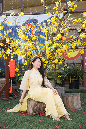 mother and daughter lunar new year viet tet photo orange county los angeles wedding photographer-43