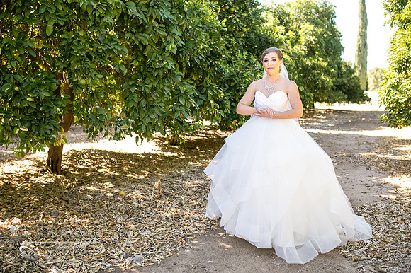 Wedding photo at Wiens Winery by Temecula wedding photographer of Photoquest Studio, Samantha & Joe (15)