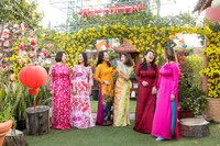 lunar new year viet tet photo orange county los angeles temecula riverside wedding photographer (5)