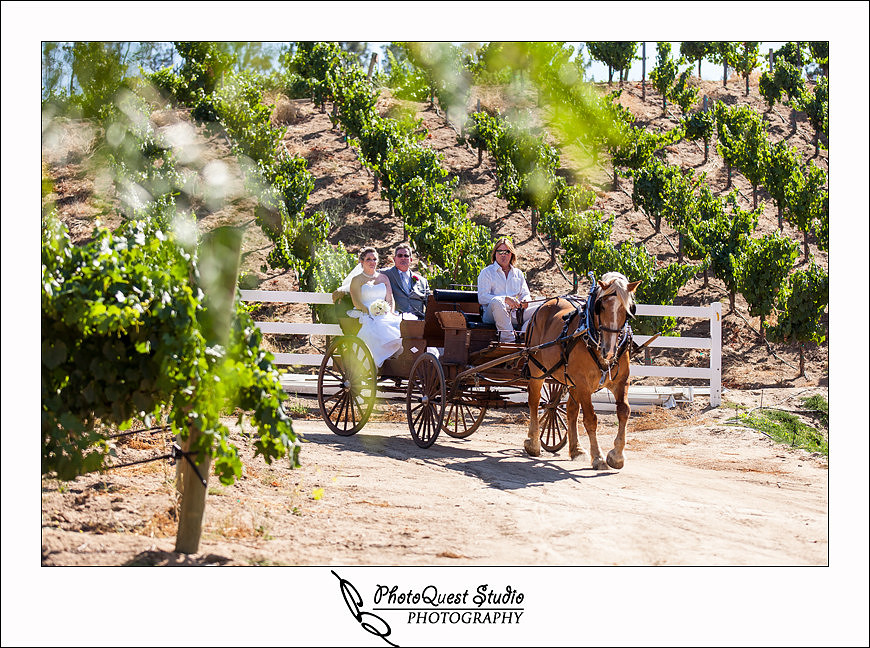 Longshadow Ranch Wedding Photography, Temecula Vineyard and Winery Wedding Photographer - PhotoQuest Studio, Wedding Horse carriage
