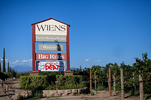 Temecula Wedding Photographer, Concert Photographer at Wiens Family Cellars Winery, The English Beat