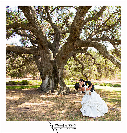 Bates Nut Farm Wedding by Menifee, Temecula Wedding & Event Photographer of PhotoQuest Studiio, Photography