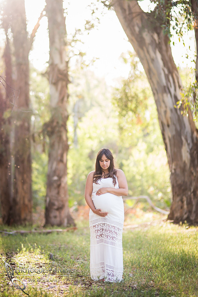 Famliy Photographer in Murrieta , Temecula Wedding Photographer - Alex Family Photos