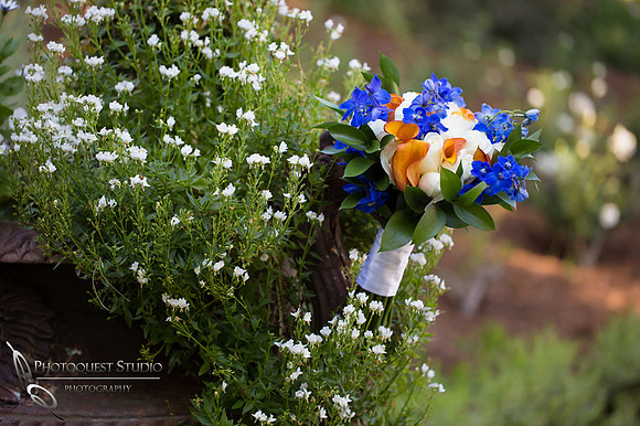 Blue Bouquet by Temecula Wedding Photographer