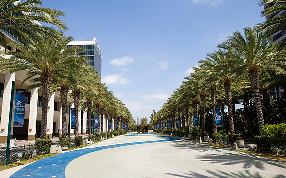 Indian Wedding, Westin Hotel, Anaheim, Orange County Wedding Photographer (37 of 609)