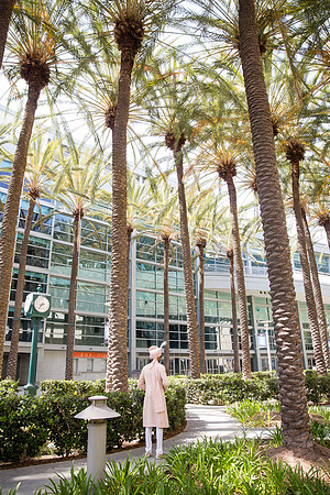 Indian Wedding, Westin Hotel, Anaheim, Orange County Wedding Photographer (38 of 609)