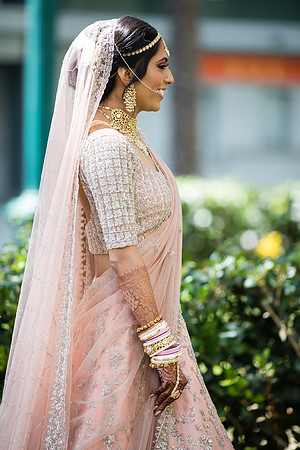 Indian Wedding, Westin Hotel, Anaheim, Orange County Wedding Photographer (42 of 609)