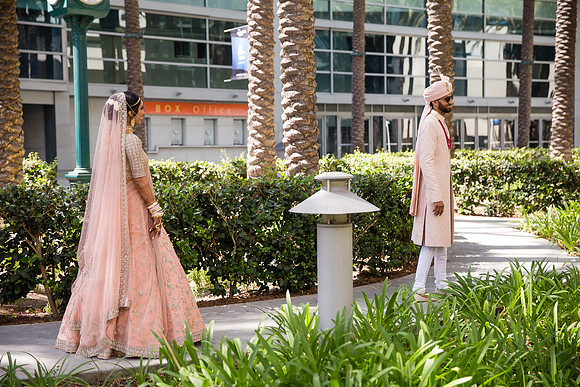 Indian Wedding, Westin Hotel, Anaheim, Orange County Wedding Photographer (45 of 609)