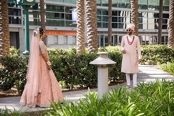 Indian Wedding, Westin Hotel, Anaheim, Orange County Wedding Photographer (46 of 609)