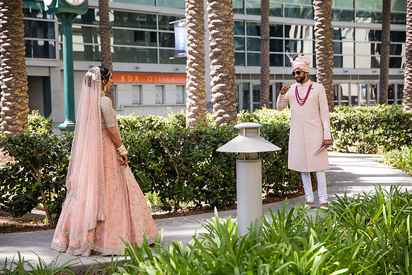 Indian Wedding, Westin Hotel, Anaheim, Orange County Wedding Photographer (47 of 609)