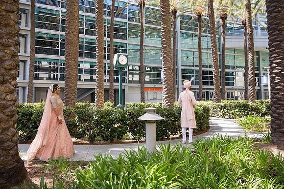Indian Wedding, Westin Hotel, Anaheim, Orange County Wedding Photographer (41 of 609)