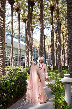Indian Wedding, Westin Hotel, Anaheim, Orange County Wedding Photographer (48 of 609)