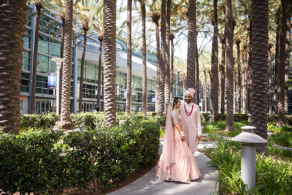 Indian Wedding, Westin Hotel, Anaheim, Orange County Wedding Photographer (58 of 609)