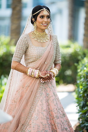 Indian Wedding, Westin Hotel, Anaheim, Orange County Wedding Photographer (39 of 609)