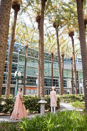 Indian Wedding, Westin Hotel, Anaheim, Orange County Wedding Photographer (43 of 609)