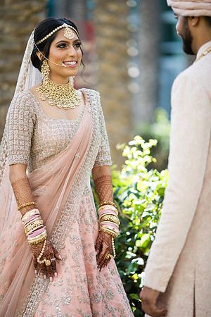 Indian Wedding, Westin Hotel, Anaheim, Orange County Wedding Photographer (49 of 609)