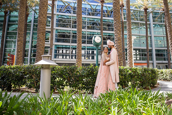 Indian Wedding, Westin Hotel, Anaheim, Orange County Wedding Photographer (60 of 609)