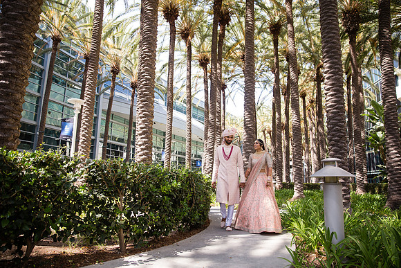 Indian Wedding, Westin Hotel, Anaheim, Orange County Wedding Photographer (64 of 609)