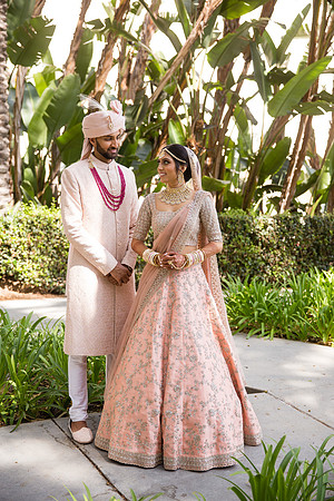 Indian Wedding, Westin Hotel, Anaheim, Orange County Wedding Photographer (66 of 609)
