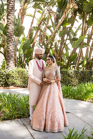 Indian Wedding, Westin Hotel, Anaheim, Orange County Wedding Photographer (67 of 609)