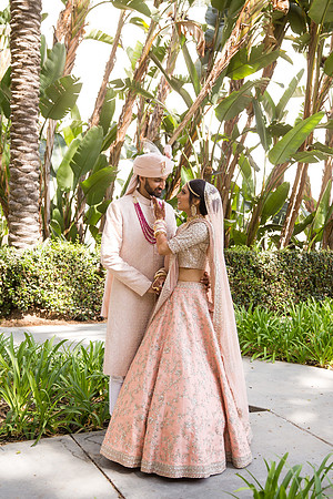 Indian Wedding, Westin Hotel, Anaheim, Orange County Wedding Photographer (68 of 609)