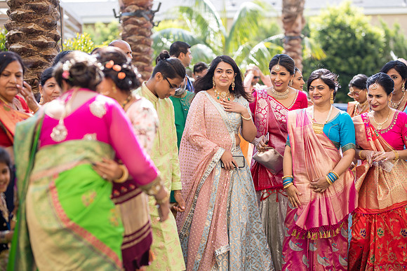 Indian Wedding, Westin Hotel, Anaheim, Orange County Wedding Photographer (75 of 609)