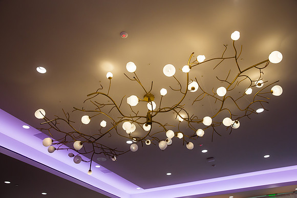 Indian Wedding, Westin Hotel, Anaheim, Orange County Wedding Photographer (138 of 609)