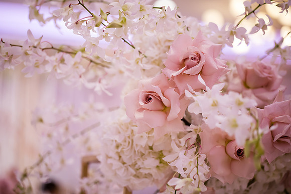 Indian Wedding, Westin Hotel, Anaheim, Orange County Wedding Photographer (142 of 609)
