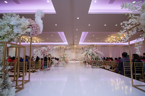 Indian Wedding, Westin Hotel, Anaheim, Orange County Wedding Photographer (145 of 609)