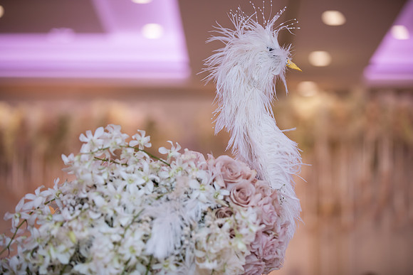 Indian Wedding, Westin Hotel, Anaheim, Orange County Wedding Photographer (160 of 609)