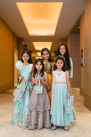 Indian Wedding, Westin Hotel, Anaheim, Orange County Wedding Photographer (177 of 609)