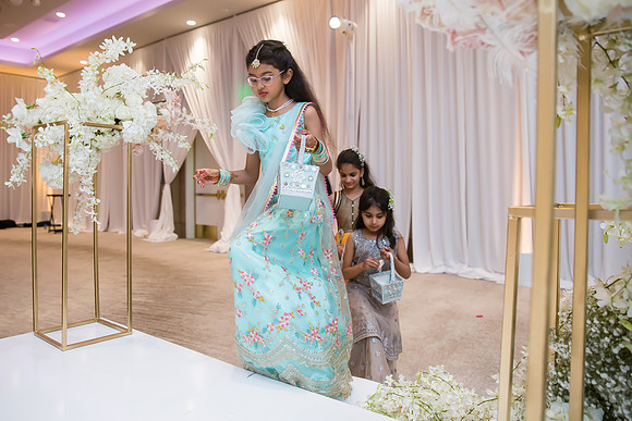 Indian Wedding, Westin Hotel, Anaheim, Orange County Wedding Photographer (193 of 609)