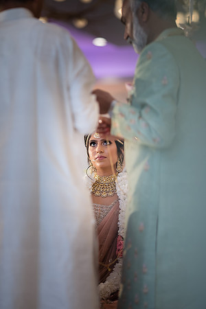 Indian Wedding, Westin Hotel, Anaheim, Orange County Wedding Photographer (214 of 609)