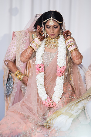 Indian Wedding, Westin Hotel, Anaheim, Orange County Wedding Photographer (219 of 609)