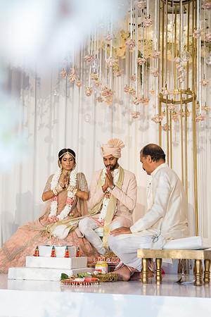 Indian Wedding, Westin Hotel, Anaheim, Orange County Wedding Photographer (222 of 609)