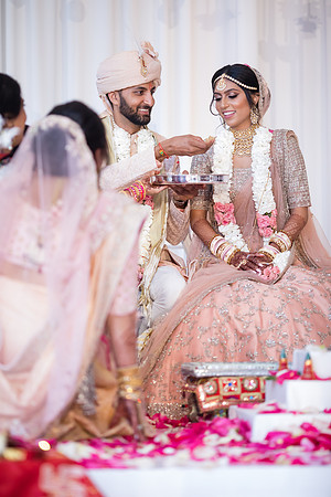 Indian Wedding, Westin Hotel, Anaheim, Orange County Wedding Photographer (258 of 609)